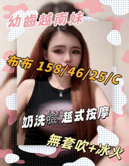 新北-布布