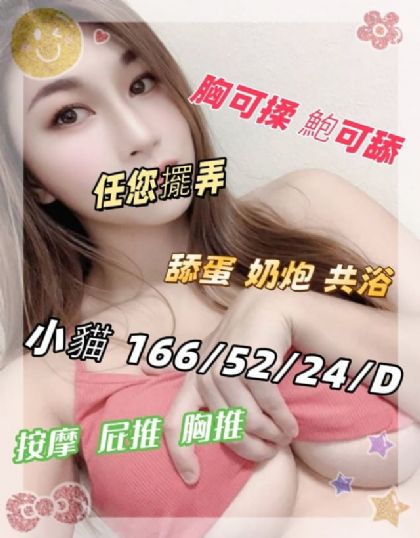桃園-小貓